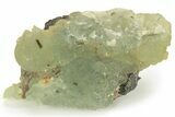 Botryoidal Prehnite and Epidote - Mali #219545-1